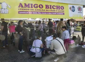amigo bicho