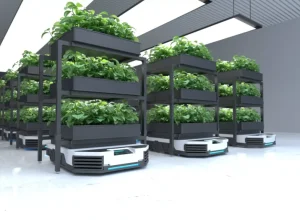 fazenda-vertical-brasil