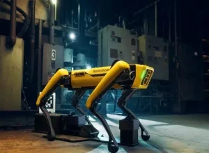 Cão robô Spot, foto divulgação via Reuters