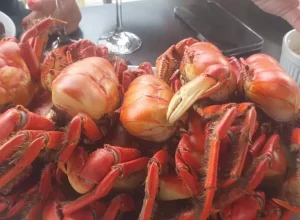 Festival do Caranguejo