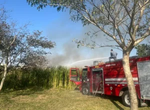 Bombeiros combatem incêndio em Ribeirão Preto foto CB SP