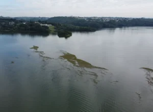 ICMS Ecológico: Estado repassa milhões a cidades com áreas protegidas Foto: Denis Ferreira Netto/SEDEST-PR