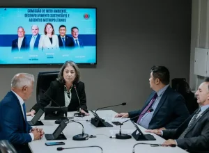 O grupo analisa matérias relacionadas ao saneamento básico, à proteção, à conservação e à recuperação dos recursos naturais, entre outras. (Foto: Rodrigo Fonseca/CMC)