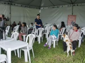 mutirao-castracao-caes-gatos-curitiba