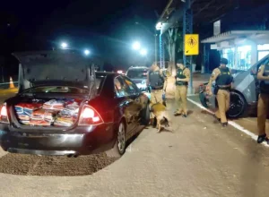 operacao_divisas_integradas_8