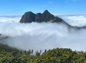 turismo__pico paraná