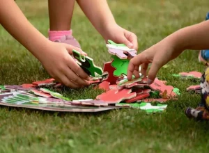 progrma_autismo_camara