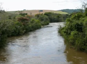 parana__rio com florestas