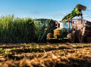Atvos marca presença na COP28 - Crédito Divulgação