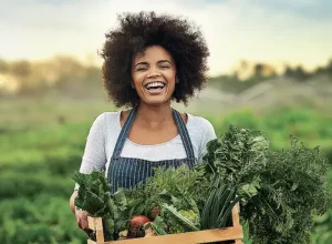 Plano Safra da Agricultura Familiar