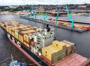 MSC Manya chegou ao porto de Manaus no último dia 12. Foto: Ricardo Sassaki