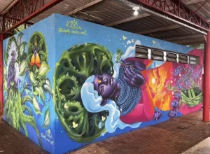 Festival de Grafite Campo Mourão