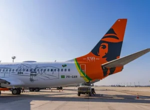 Detalhes da pintura comemorativa aos 150 anos de Santos Dumont (Divulgação GOL/ @alisson.aviation)