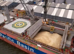 Foto: Operação de exportação de açúcar a granel realizada pelo Porto Ponta do Félix