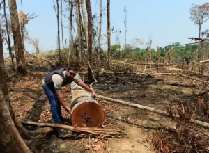 A automação de serviços públicos já evitou o consumo de 900 milhões de litros de água e ajuda a reduzir os impactos ambientais da gestão pública. Foto: Marcos Vergueiro - Secom-MT.