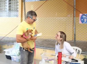 castracao-caes-pinhais