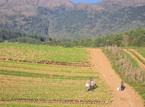 Programa tem como objetivo levar desenvolvimento sustentável para produtores rurais. Fotos: divulgação.