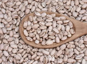 Cultivar apresenta teores mais elevados de ferro e zinco. Foto: Sebastião José de Araújo