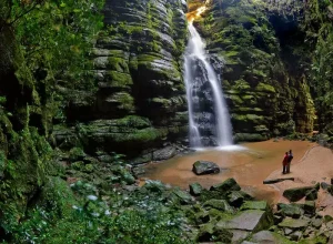 mata-atlantica-parana