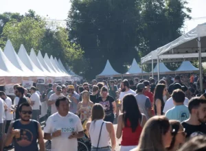 Mais de 200 rótulos farão parte da FCCA 2024 - Cred FCCA