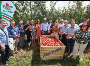 Mapa participa da abertura nacional da colheita da maçã em Santa Catarina