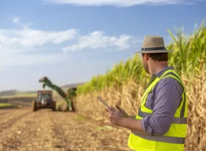 Especialistas de diversas áreas da indústria bioenergética da cana-de-açúcar participaram ativamente da discussão – Créditos: BASF