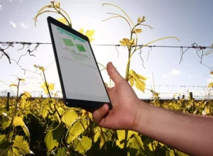 crise-hidrica-agricultores