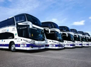 marco-trasnsporte-onibus