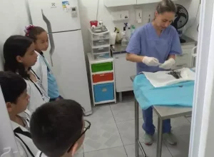 parana__veterinário mirim guaratuba boa (1)