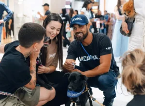 Curitiba recebe evento de adoção de animais