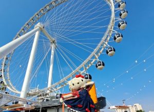 Hello-Kitty-roda-rico