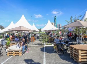 SundayFunday-feira-geral