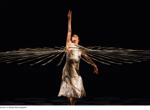 Viva MOMIX em Curitiba Crédito: Charles Paul Azzopardi