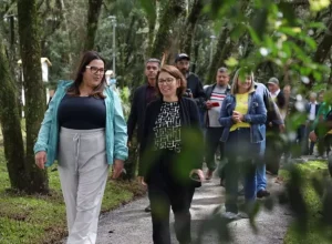 bosque-jeriva-prefeita