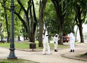 brigada-combate-abelhas