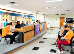 camara-violência-contra-a-mulher