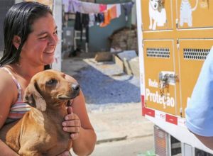 castração de animais