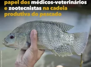 médico veterinário na pesca