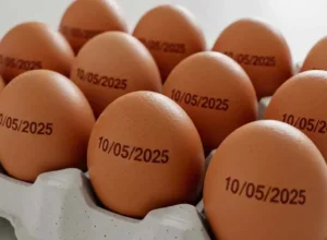 ovos-com-data_carimbo