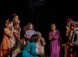 teatro infantil regional boa vista